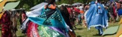 Ontario Native Women's Association